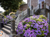 Standesamt_Weeze_Schloss_Hertefeld_03